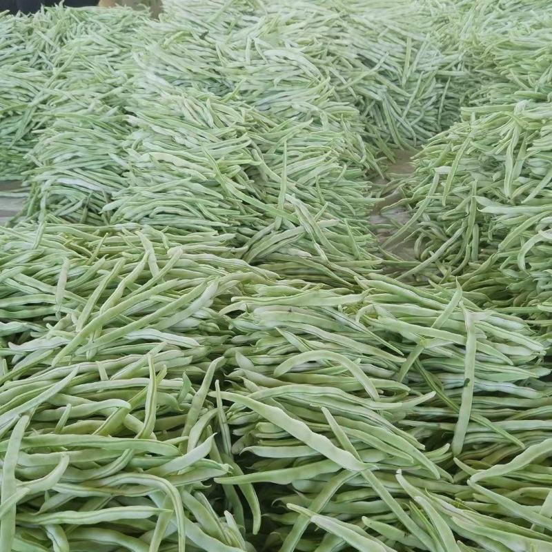 白不老豆角