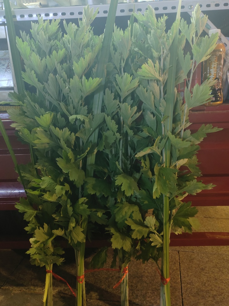 新鲜的艾草