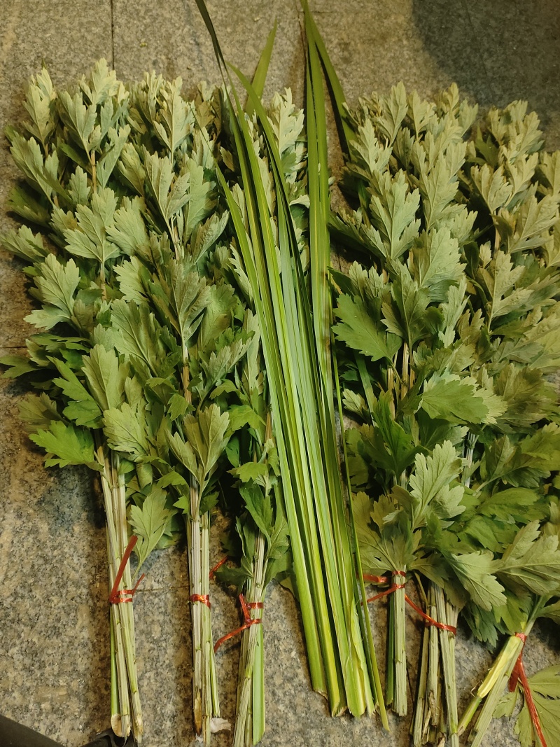 新鲜的艾草
