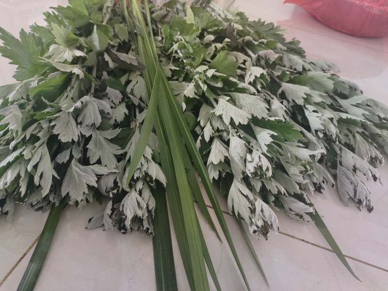新鲜的艾草