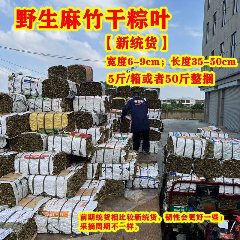 滕国嘉誉干粽叶商用款5斤新鲜大号粽子叶粑粑麻竹叶箬