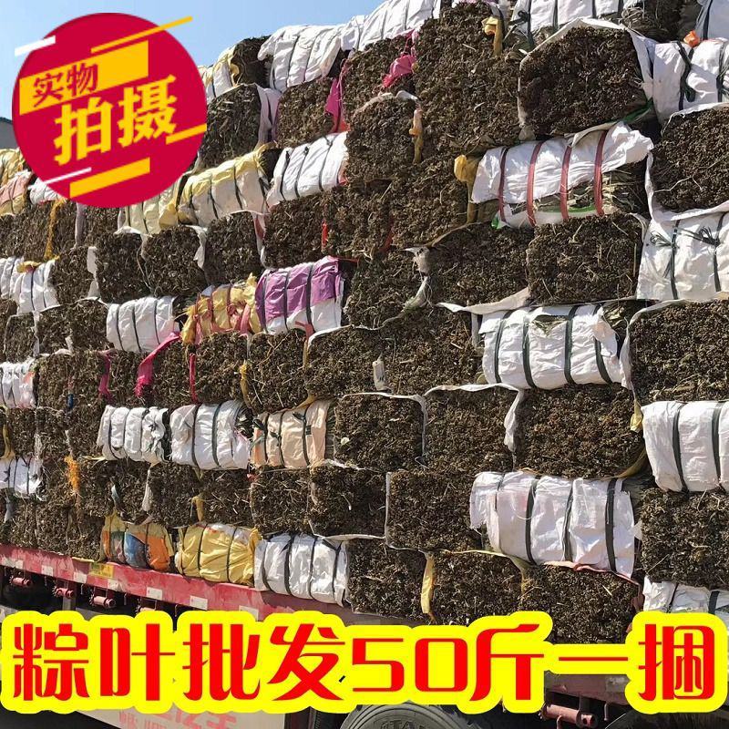 滕国嘉誉干粽叶商用款5斤新鲜大号粽子叶粑粑麻竹叶箬