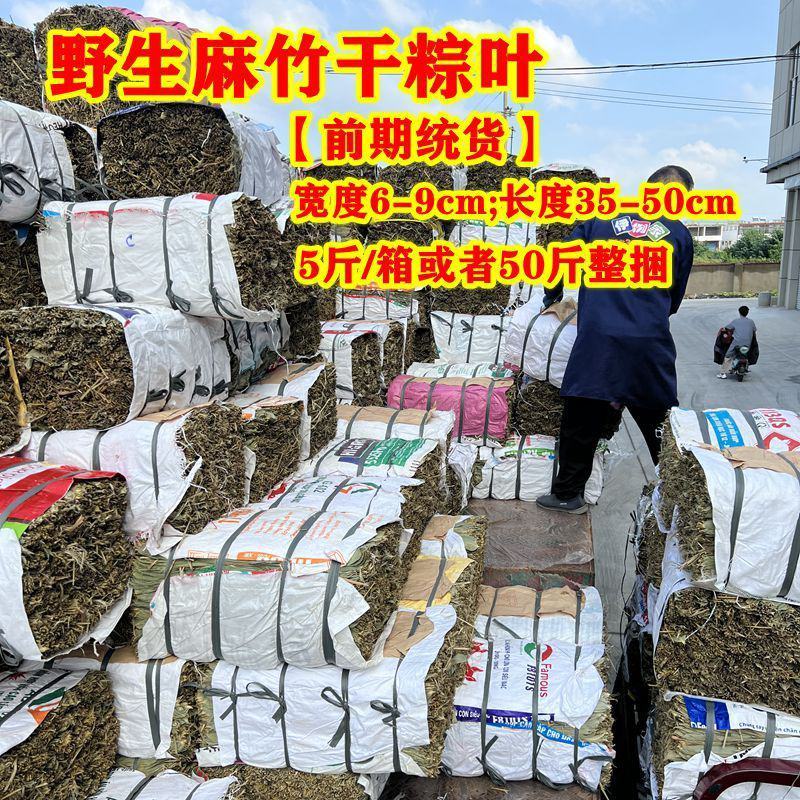 滕国嘉誉干粽叶商用款5斤新鲜大号粽子叶粑粑麻竹叶箬