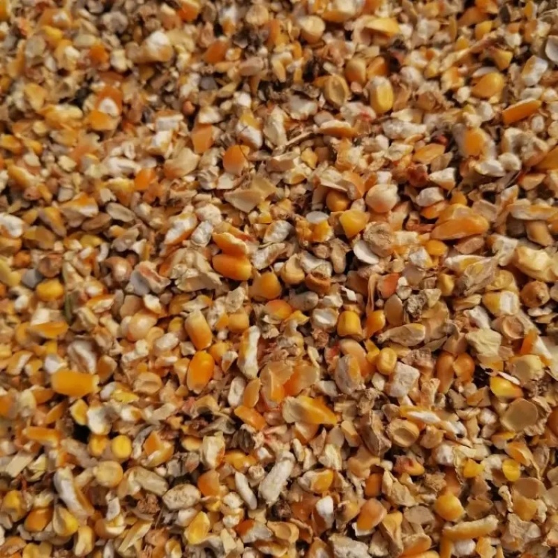 精品碎玉米大量上市品质保证量大从优产地直发欢迎联系