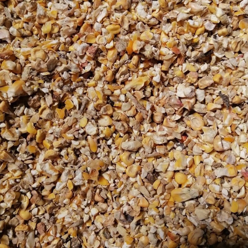 精品碎玉米大量上市品质保证量大从优产地直发欢迎联系