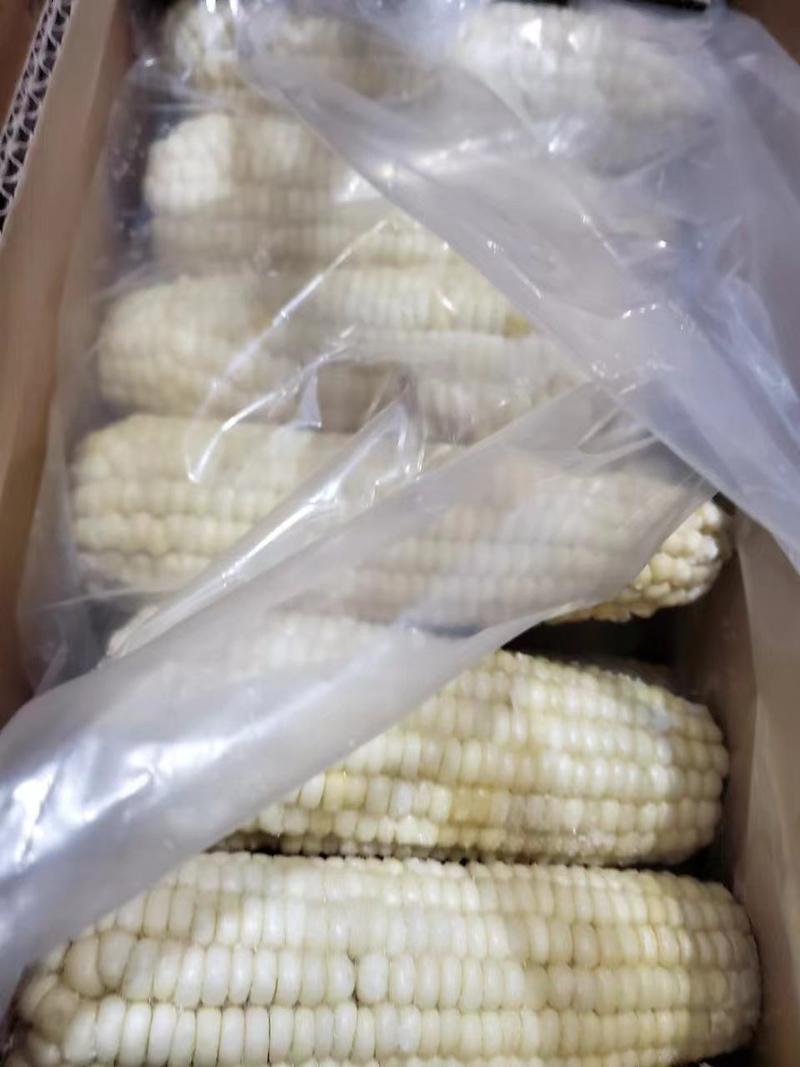 忻州甜玉米厂家直发可以实地工厂考察
