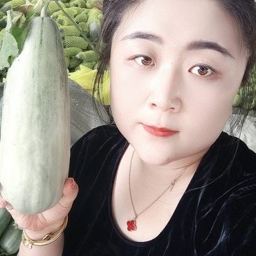 【精品】博洋61甜瓜山东羊角蜜甜瓜各种规格随行就市