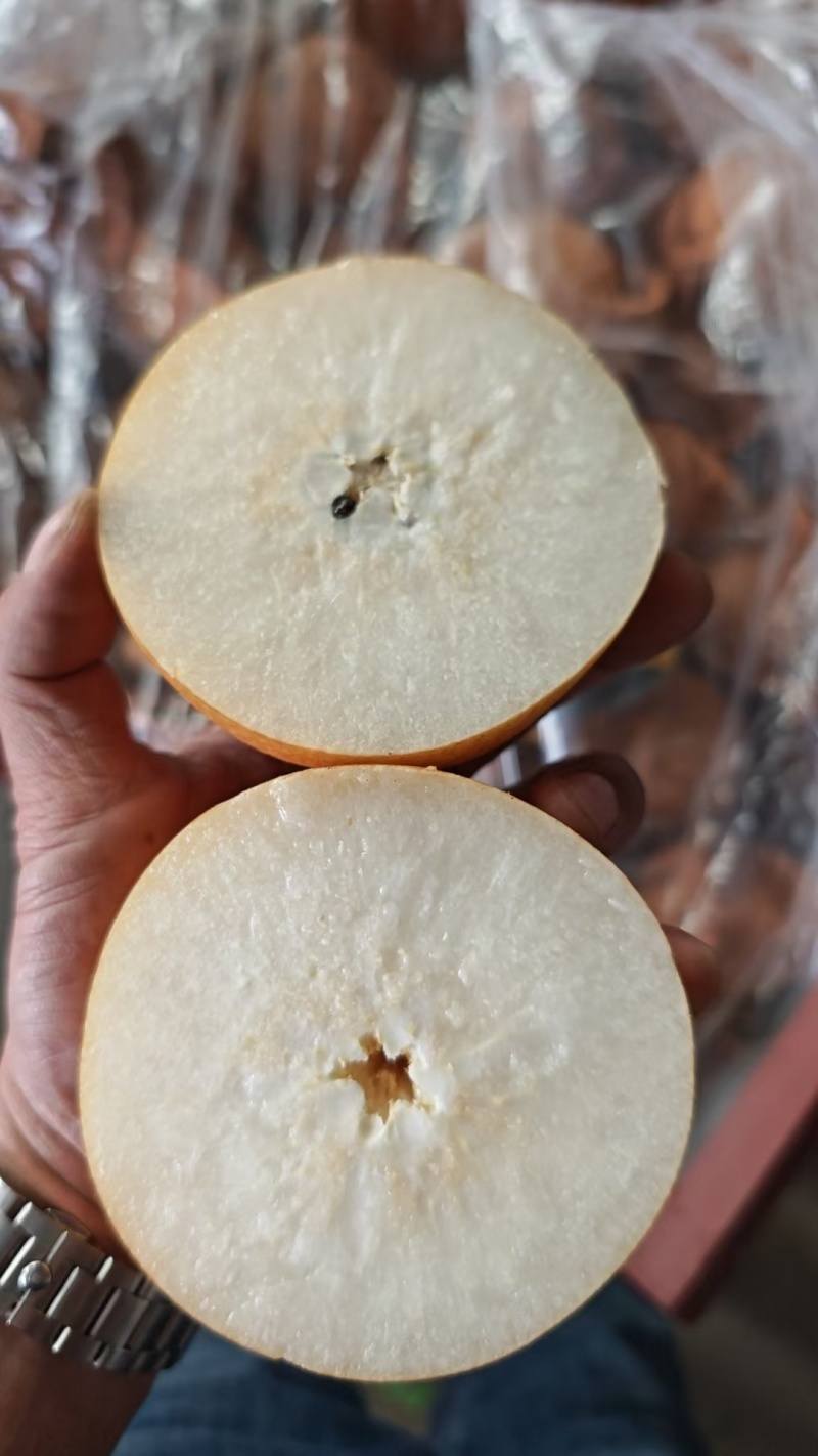 秋月梨一件代发