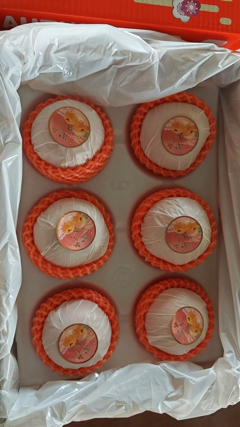 秋月梨一件代发