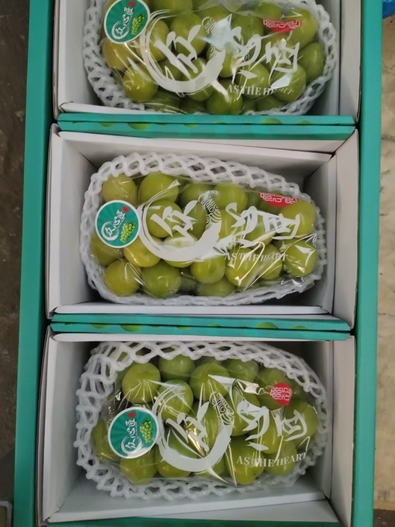 阳光玫瑰一件代发