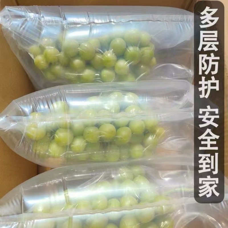 阳光玫瑰一件代发