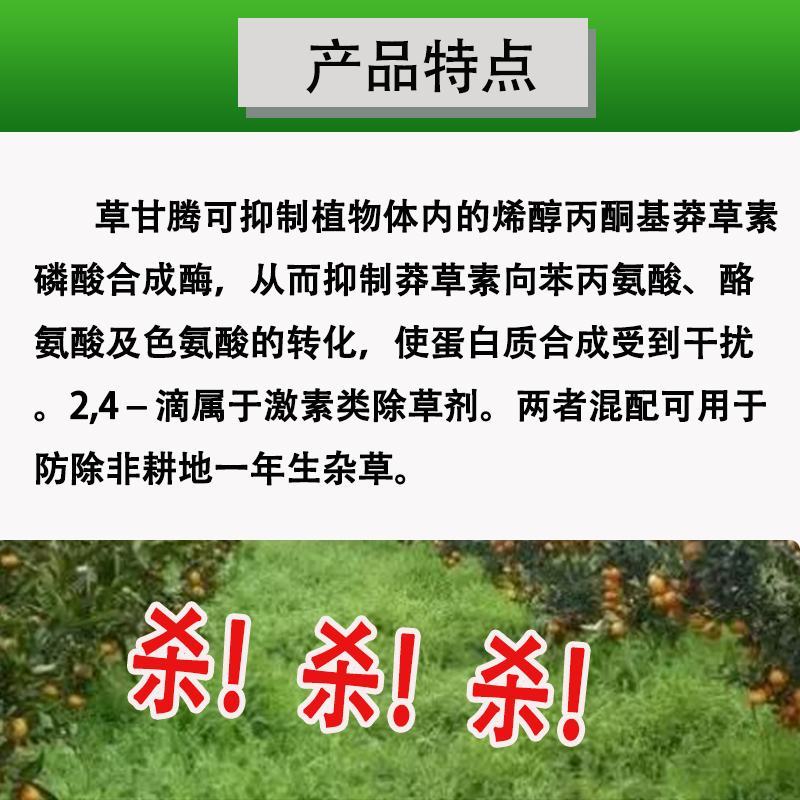 滴酸草甘膦除草剂强效正品一扫光连根烂根杂草专杀草胺磷斩草