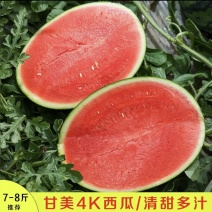 陕西渭南高原甘美4K产地直发质量三包