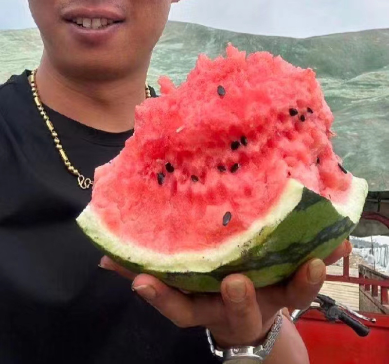 甜王西瓜，西瓜批发，河南西瓜，甜王西瓜批发