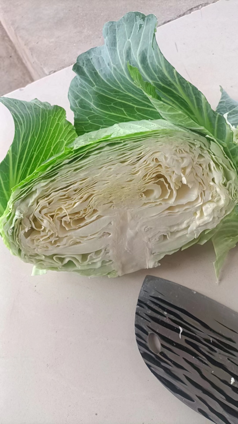 湖北京丰一号产地供应，货量充足质量保证，视频看货欢迎致电