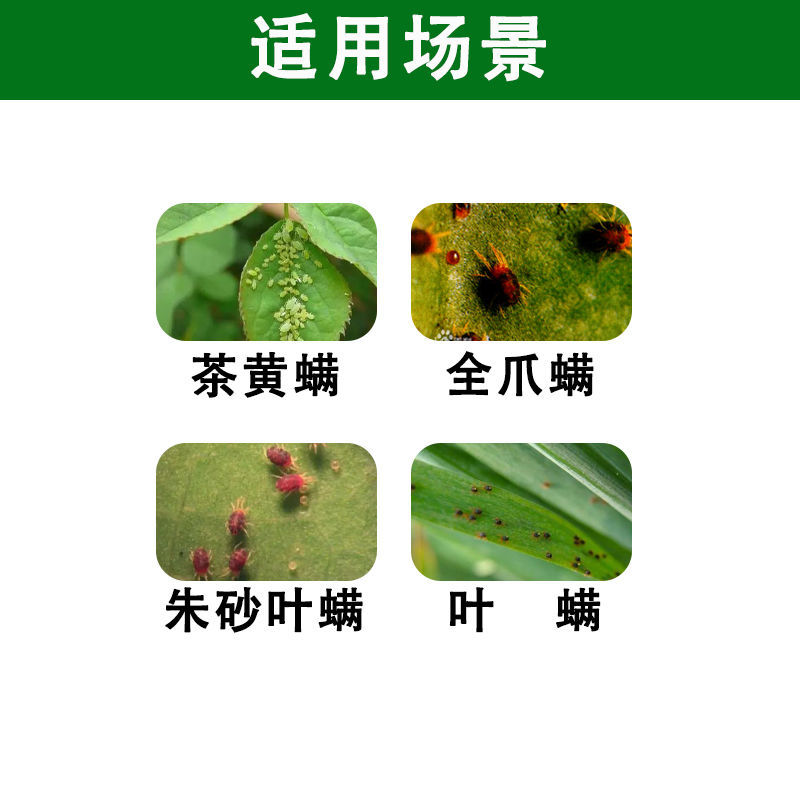 螨无踪抗性红蜘蛛杀螨助剂增强药效植物精油复配