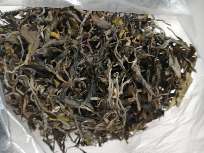 云南普洱茶，下单30斤送一斤