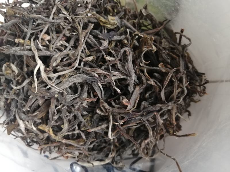云南普洱茶，下单30斤送一斤