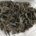 云南普洱茶，下单30斤送一斤