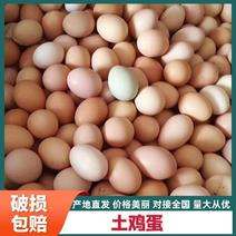 【包邮】土鸡蛋货源充足自家养殖产区一手货源可当地看货