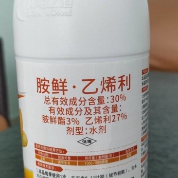 祥龙鲜酯乙烯利玉米专用矮壮防倒根系发达生长调节剂