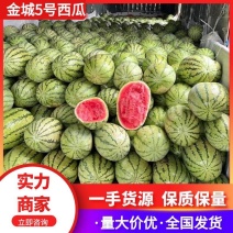 【精选】宁夏金城5号西瓜，实力代办，口感好，量大从优。