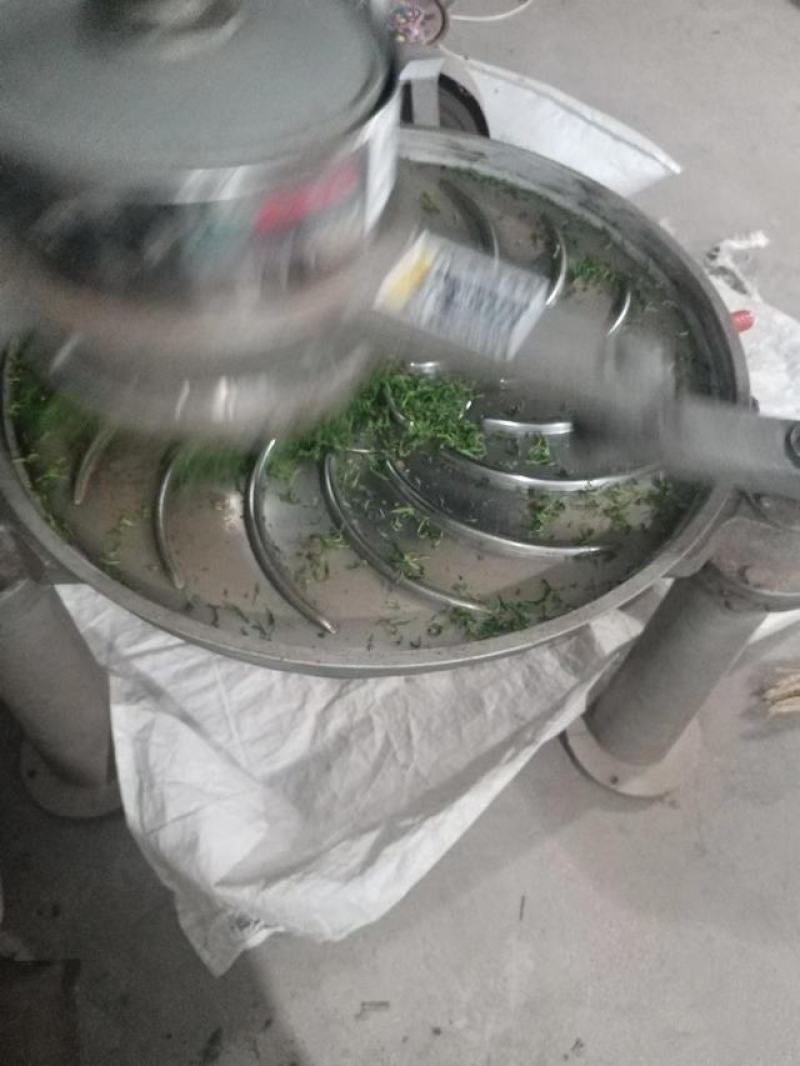 绿茶大量供应，山东日照发货，自己采摘一手货源，量大从优，
