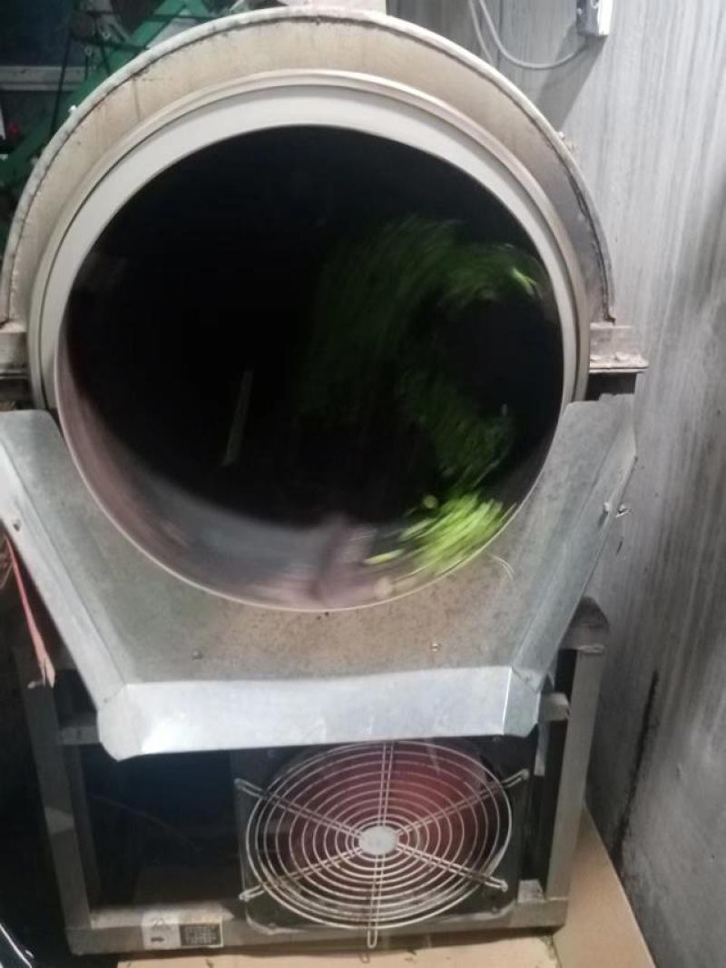 绿茶大量供应，山东日照发货，自己采摘一手货源，量大从优，