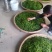 绿茶大量供应，山东日照发货，自己采摘一手货源，量大从优，
