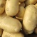 太和黄心土豆大量上市基地直发价格优惠欢迎咨询采购