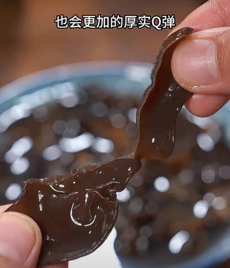 木耳