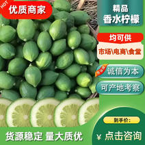 广东无籽香水柠檬品质产地直销大量供应