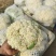 河南开封松花菜有机菜花小米粒货源足质量好代收代发