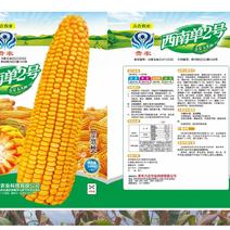 贵农“西南单二号”玉米种子1kg
