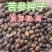 新苦参种子种植简单价值不菲对土壤要求不严可在线交易