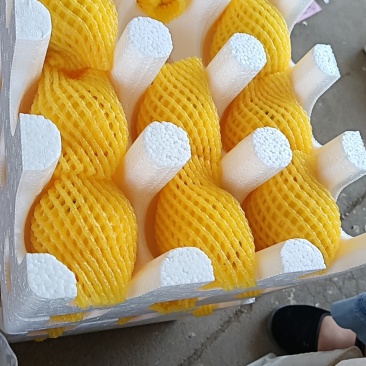 黄油桃