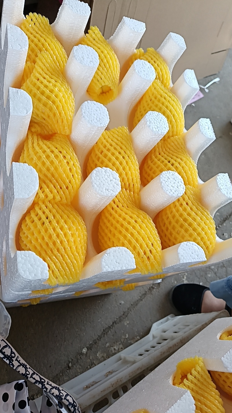 黄油桃