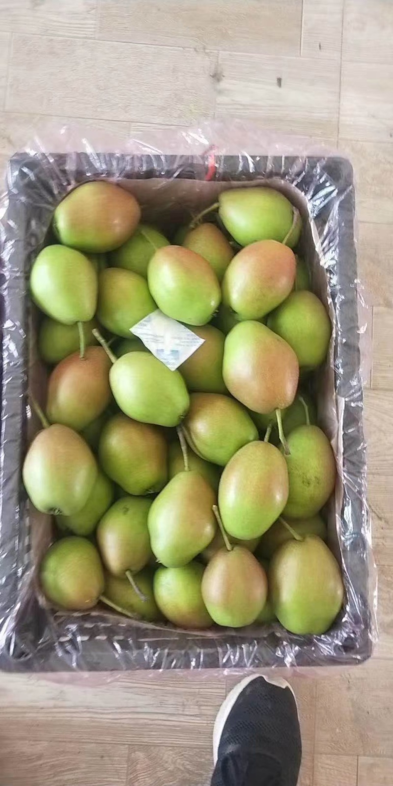 大荔冬枣