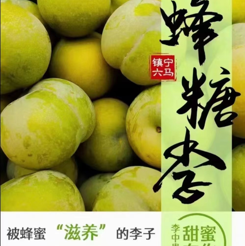 蜂糖李对于贵州安顺地区热带水果，口感香甜，大量有货