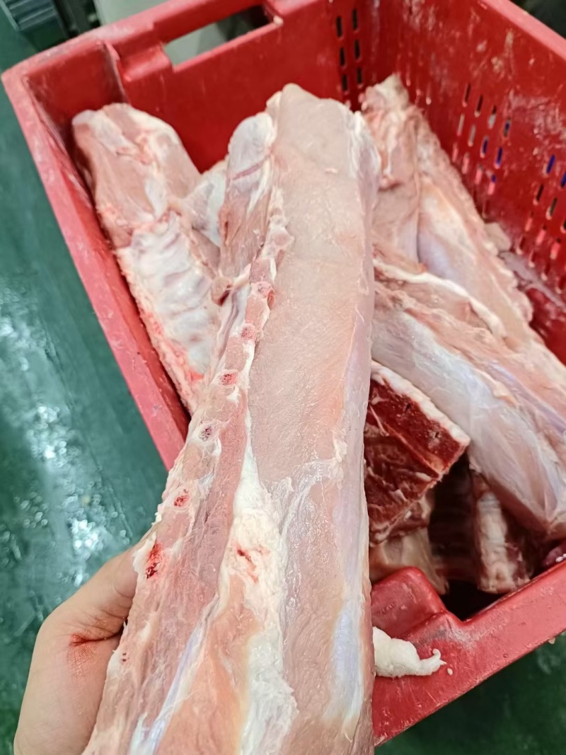 国产肥猪龙骨