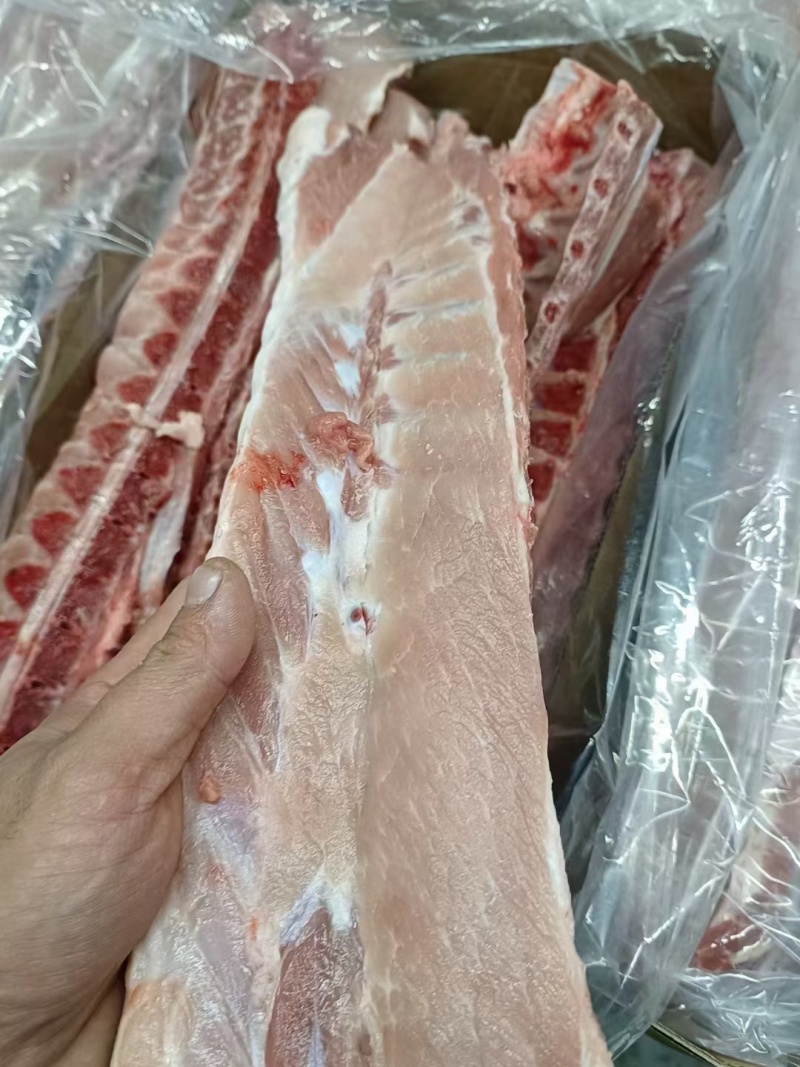 国产肥猪龙骨