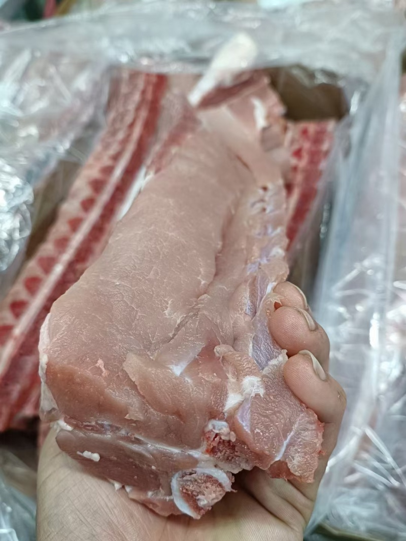 国产肥猪龙骨