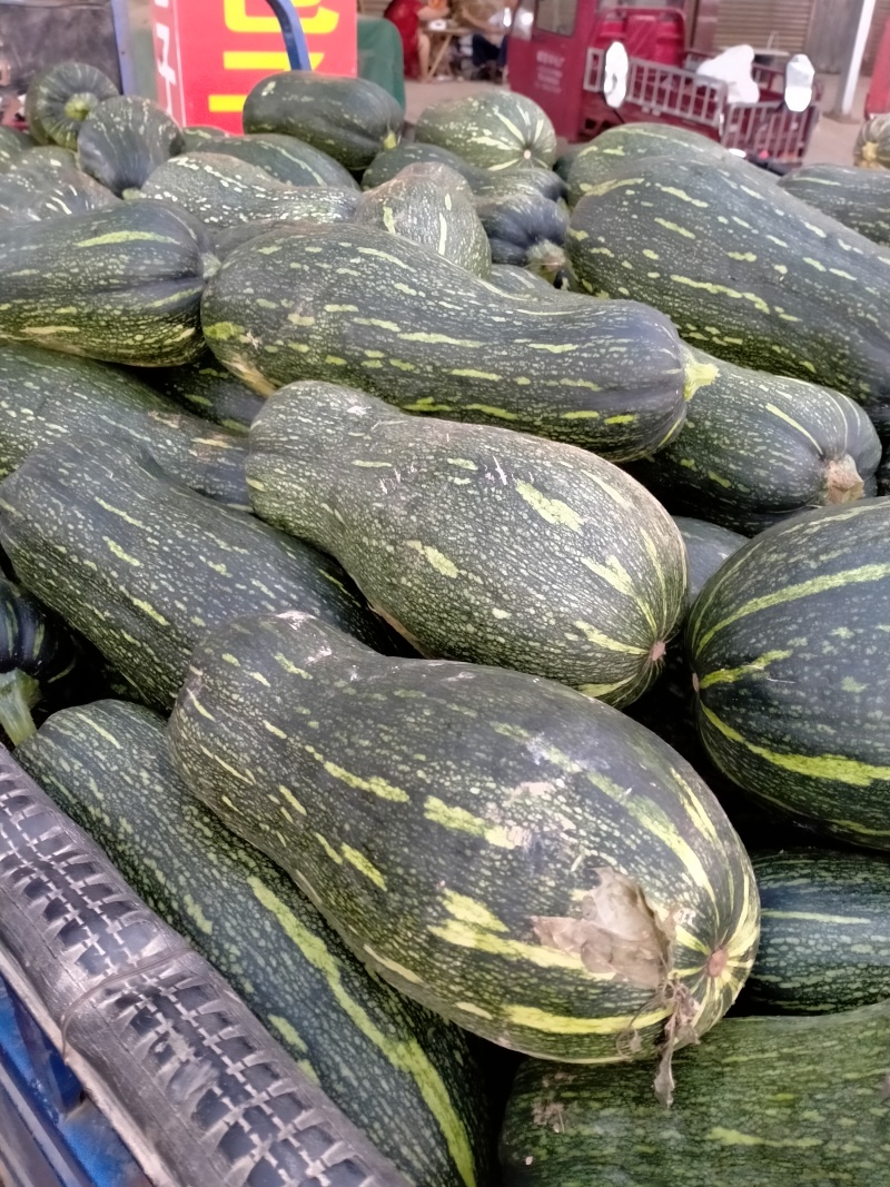 青皮南瓜