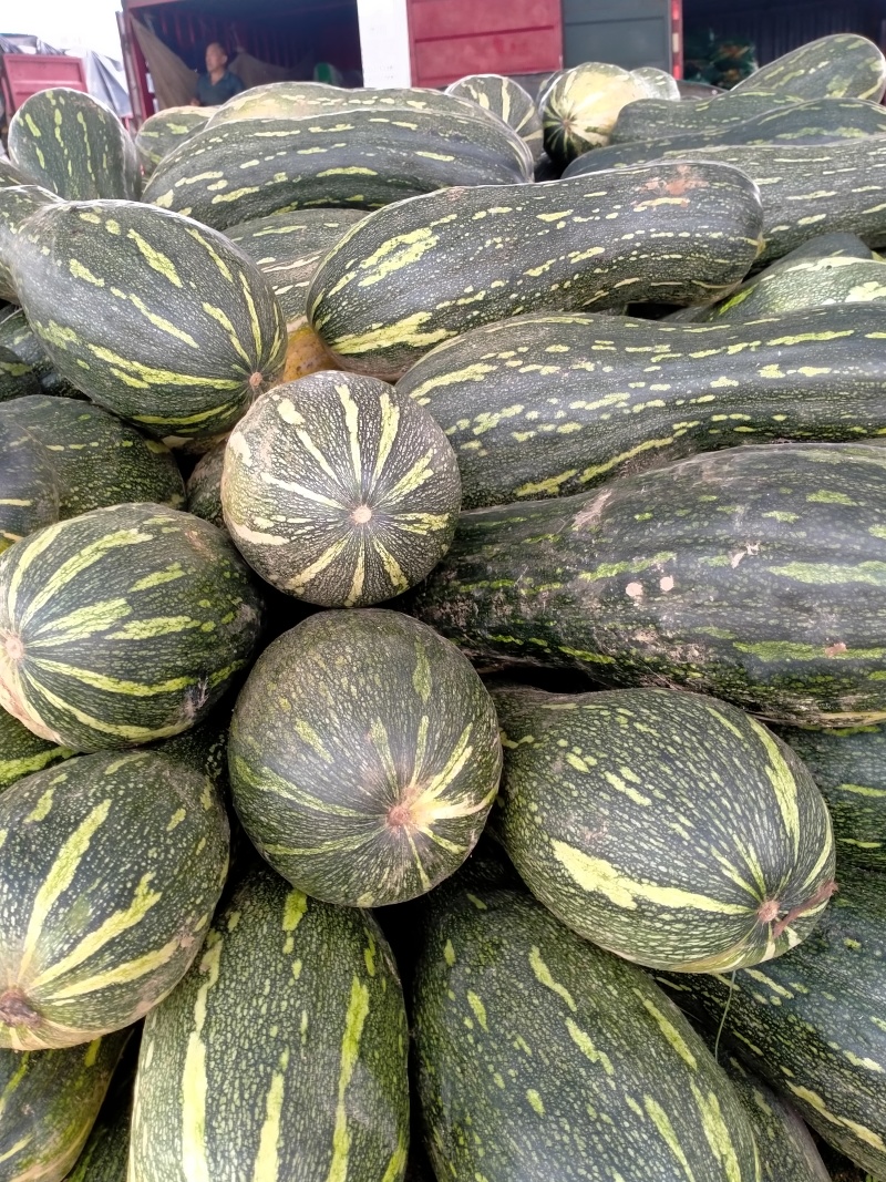 青皮南瓜