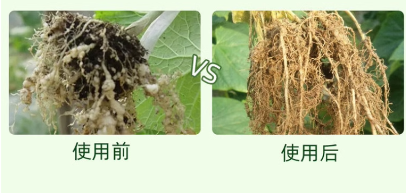 菌线清预防土传病害活化土壤抑制根结线虫专用药抗重茬