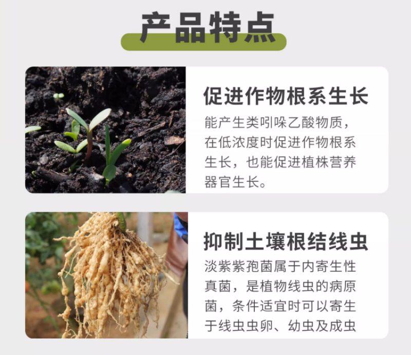 菌线清预防土传病害活化土壤抑制根结线虫专用药抗重茬