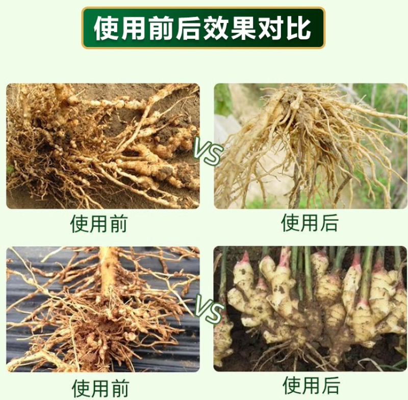 菌线清预防土传病害活化土壤抑制根结线虫专用药抗重茬