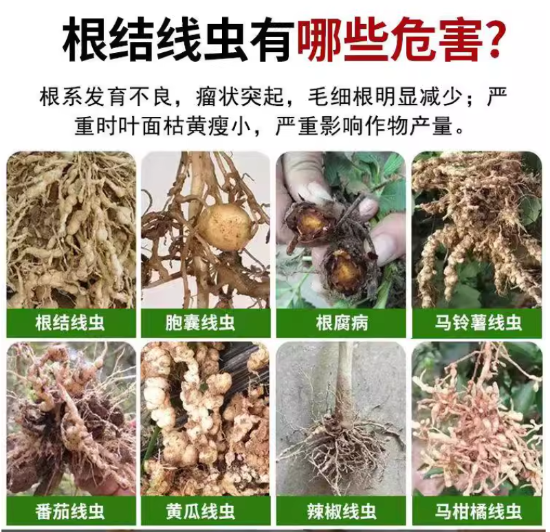 菌线清预防土传病害活化土壤抑制根结线虫专用药抗重茬