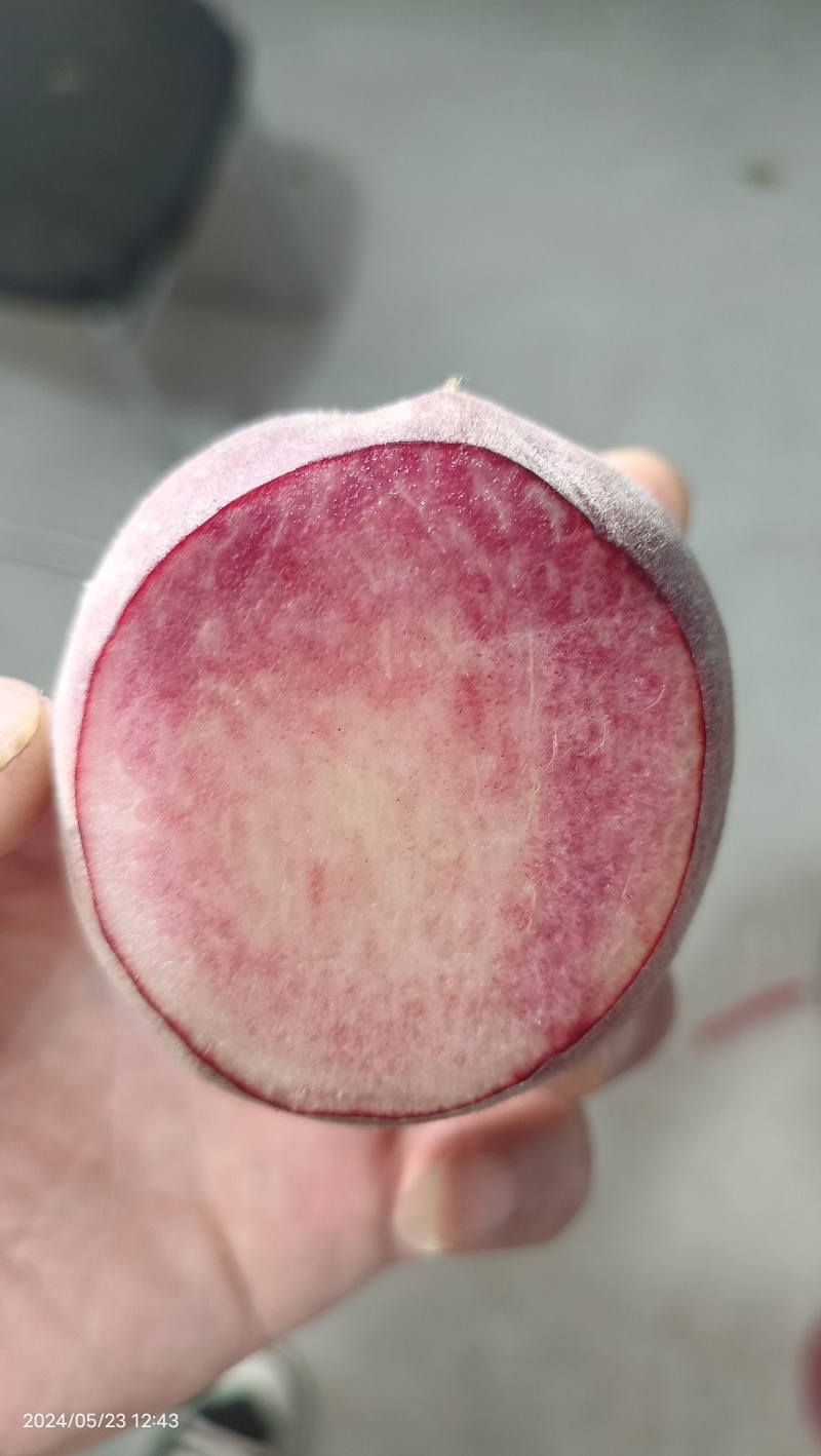 血红毛桃产地大量供应中，口感甜电商平台社区团购欢迎对接