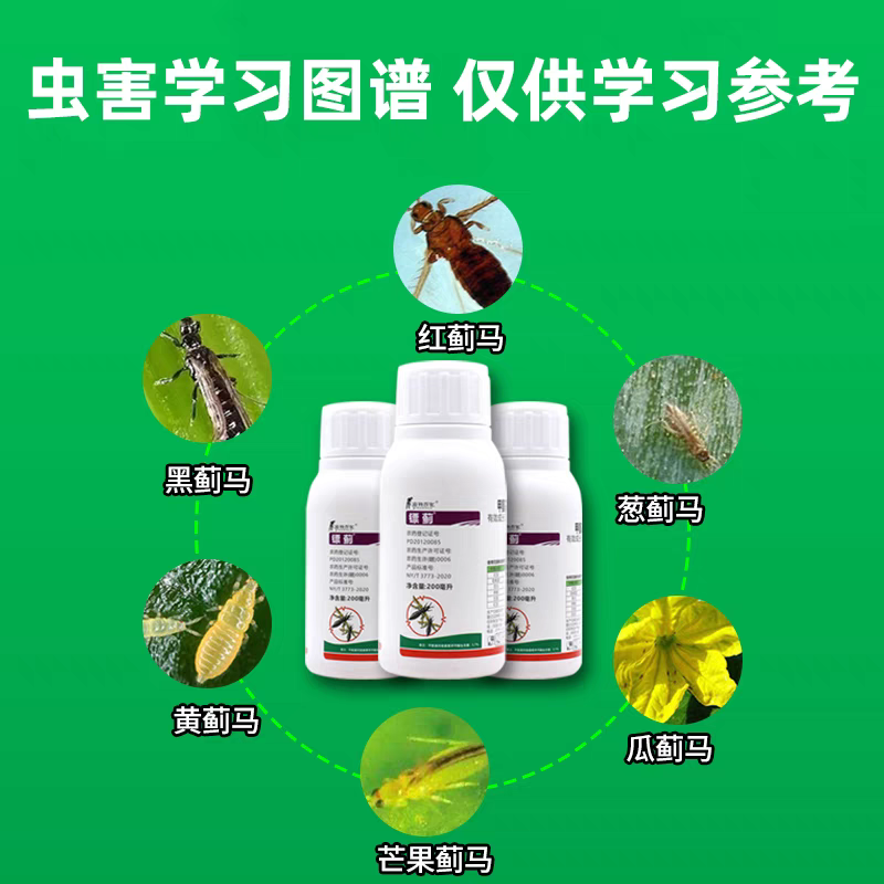 5%甲维盐蔬菜小菜蛾豆荚螟豆角茄子辣椒蓟马杀虫剂